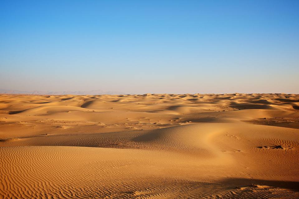 Golden sand dunes of the Dubai desert stretching to a flat horizon under a clear blue sky, with low side light picking out the wind ripples in the sand.